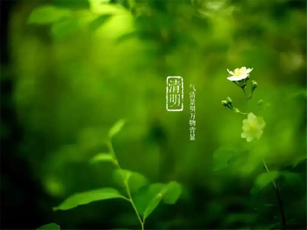 清明節(jié)——清明時(shí)節(jié)雨紛紛，路上行人欲斷魂