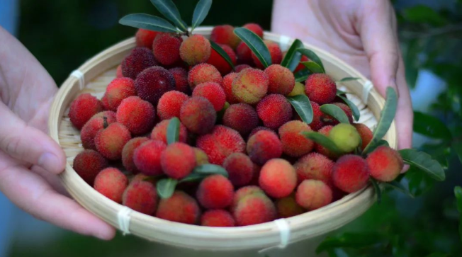 立夏六｜春光忽盡，夏木成陰【杭州易造】