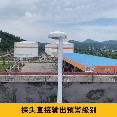 雷電預(yù)警系統(tǒng)價(jià)格-IP65探頭