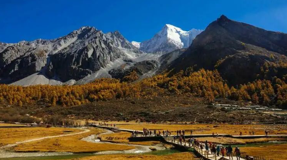 浪涌后備保護(hù)器 浪涌后備保護(hù)器